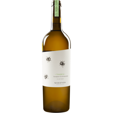 Tandem - Sequentis Cépages Résistants - Vin de France - White Wine 2023 (75cl) product image