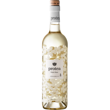 Protea Chenin Blanc - Anthonij Rupert - White Wine 2025 (75cl)