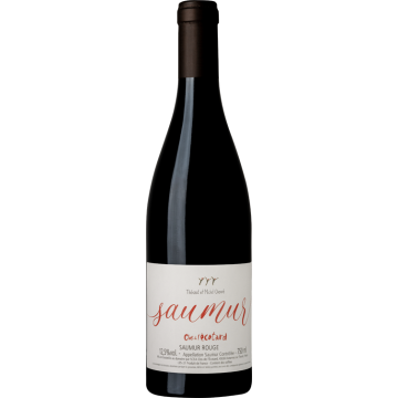 Saumur Rouge - Clos de l'Écotard - Saumur - Red Wine 2022 (75cl)