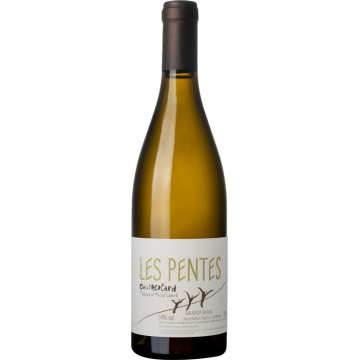 Les Pentes - Clos de l'Écotard - Saumur - White Wine 2021