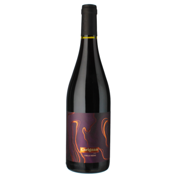 Carignan - Maison Auzias - Carcassonne - Red Wine (75cl)