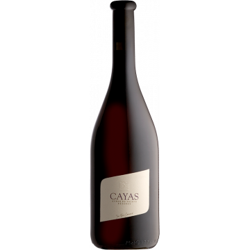 Cayas Syrah Réserve - Domaine Jean-René Germanier - Valais - Red Wine 2020