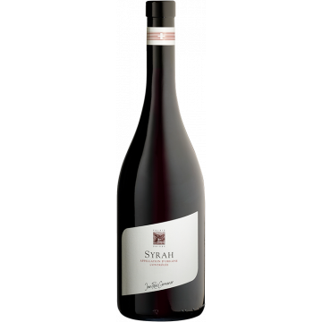 Syrah - Domaine Jean-René Germanier - Valais - Red Wine 2023 (75cl) product image