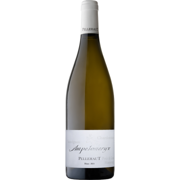 Ampelomeryx Blanc - Pellehaut - Vin de France - White Wine 2024 (75cl) product image