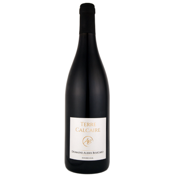 Terre Calcaire - Domaine Alexis Boucard - Bourgueil - Red Wine 2022 (75cl) product image