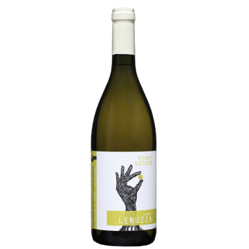 Pinot Grigio - Vigna Lenuzza - Friuli Colli Orientali - White Wine 2024