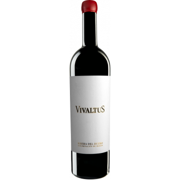 Vivaltus - Vivaltus - Ribera del Duero - Red Wine 2020 (75cl) product image