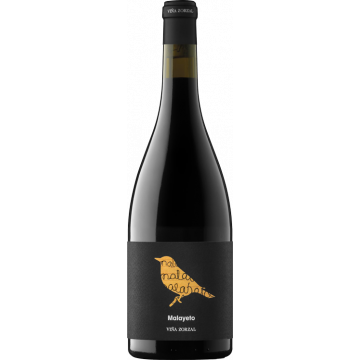 Malayeto - Viña Zorzal - Navarra - Red Wine 2024 (75cl) product image