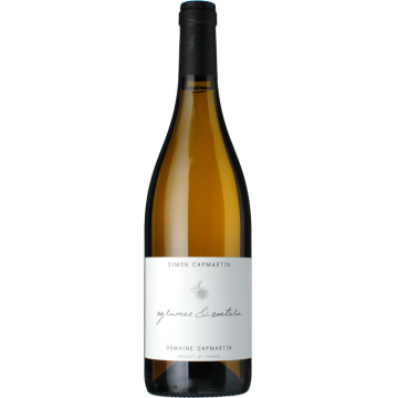 Agrumes et Cætera - Domaine Capmartin - Pacherenc du Vic-Bilh Sec - White Wine 2023 (75cl)