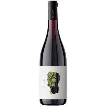 Otre Aglianico - Cantine Teanum - Puglia - Red Wine 2022 (75cl)