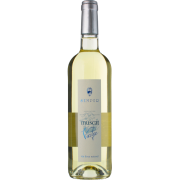 Muscat de Rivesaltes - Domaine Semper - Muscat de Rivesaltes - White Wine 2025 (75cl)