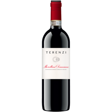 Morellino di Scansano - Terenzi - Morellino di Scansano - Red Wine 2024 (75cl) product image