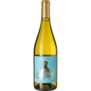 Le Poulpe Magique - Famille Arbeau - Comté Tolosan - White Wine 2024 (75cl) product image
