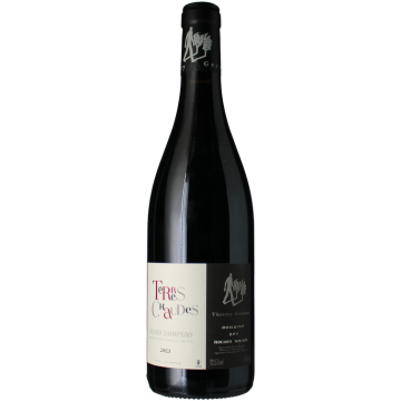 Terres Chaudes - Domaine Roches Neuves Thierry Germain - Saumur Champigny - Red Wine 2024 (75cl)