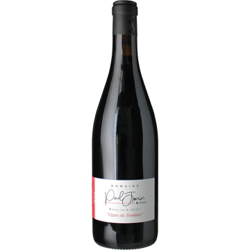 Moulin à Vent - Domaine Des Vignes du Tremblay - Paul et Eric Janin - Moulin à Vent - Red Wine 2023 (75cl)