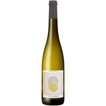 Riesling - Sophie Schaal - Riesling d'Alsace - White Wine 2025 (75cl) product image