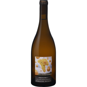 Proxima Viognier - Domaine Stéphane Pichat - Collines Rhodaniennes - White Wine 2025 (75cl)