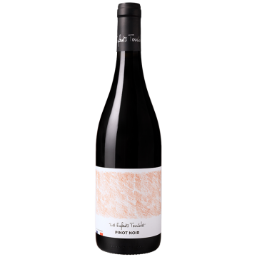 Les Enfants Terribles - Pinot Noir - Paul Aegerter - Vin de France - Red Wine 2025 (75cl)