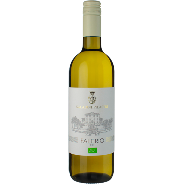 Falerio - Saladini Pilastri - Falerio - White Wine 2025