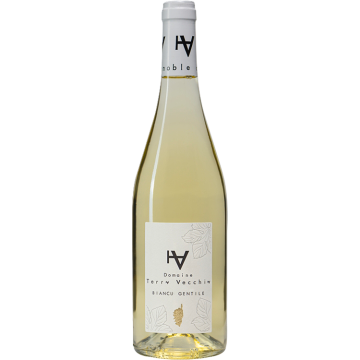 Biancu Gentile - Domaine Terra Vecchia - Ile de Beauté - White Wine 2025 (75cl) product image