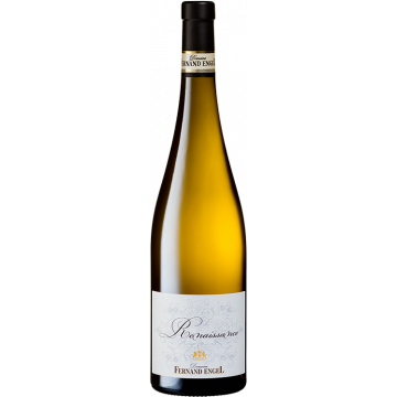 Sylvaner Renaissance - Domaine Fernand Engel - Alsace Sylvaner - White Wine 2023 (75cl)