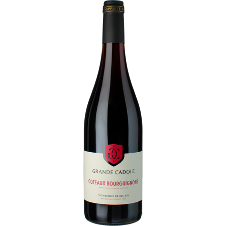 Coteaux Bourguignons - la Grande Cadole 2024 - Vignerons de Bel Air Coteaux Bourguignons - la Grande Cadole 2024 - Vignerons de Bel Air