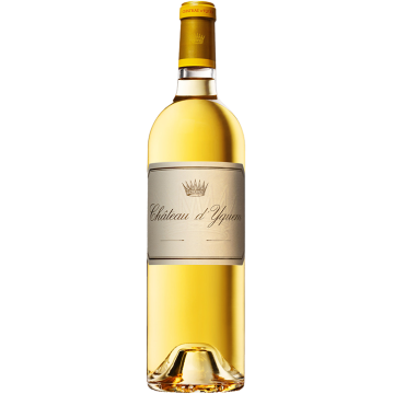 Château d'Yquem - 1er Cru Classé Supérieur - Sauternes - White Wine 2023