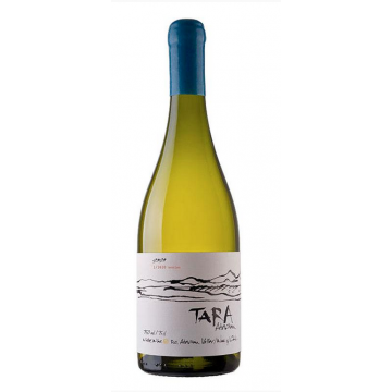 White Wine N°3 - Sauvignon Blanc - Tara - Atacama - White Wine 2022 (75cl) product image