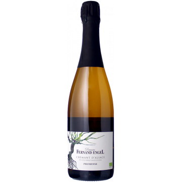 Crémant d'Alsace Promesse - Domaine Fernand Engel (75cl)