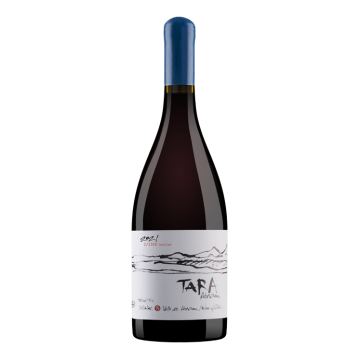 Red Wine N°3 - Garnacha - Tara - Atacama - Red Wine 2021 (75cl) product image