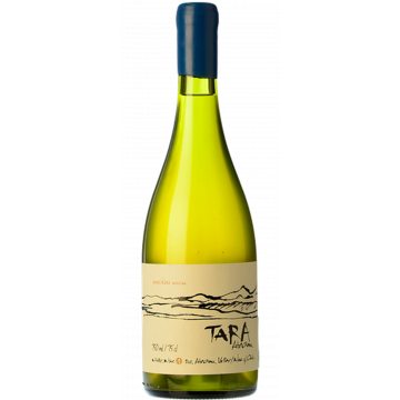 White Wine N°1 - Chardonnay - Tara - Atacama - White Wine 2022 (75cl) product image