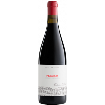 Pizarra - Pegaso - Telmo Rodríguez - Sierra de Gredos - Red Wine 2022 (75cl) product image