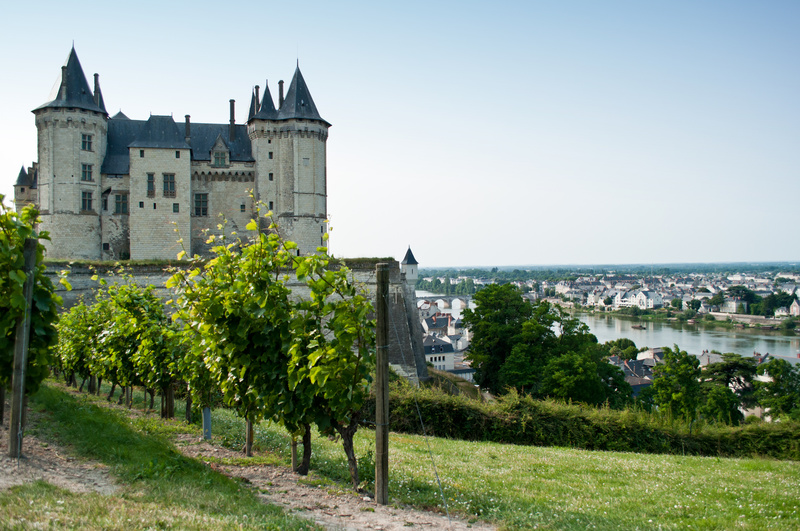 château de saumur, château, france, vignoble saumur, loire, fleuve loire, vignoble val de loire