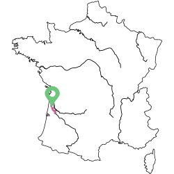 Carte Listrac Médoc