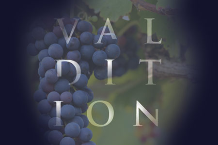 Domaine de Valdition, Provence wines